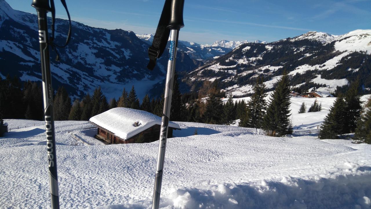 Haus Mauberger Dorfgastein Εξωτερικό φωτογραφία